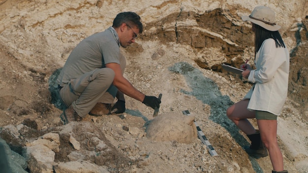paleontologists excavating fossil dig site 1376230 848